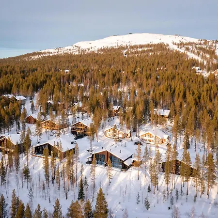 Vakantiehuis Finland - Raven A Levi