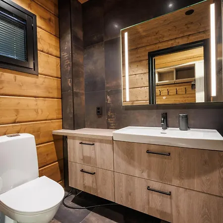 Vakantiehuis Finland - Raven A *