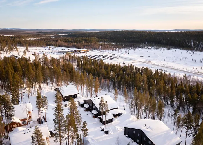 Finland - Raven A * Levi